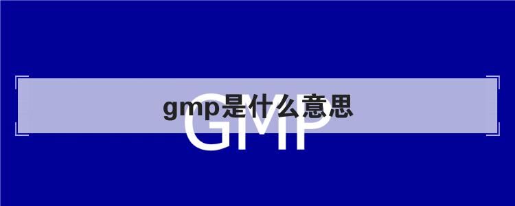 兽药GMP认证